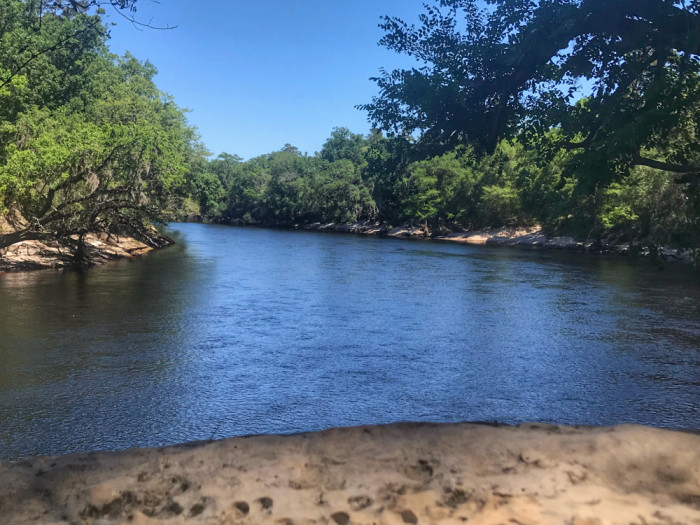 Suwannee River State Park Live Oak, FL Campground Reviews